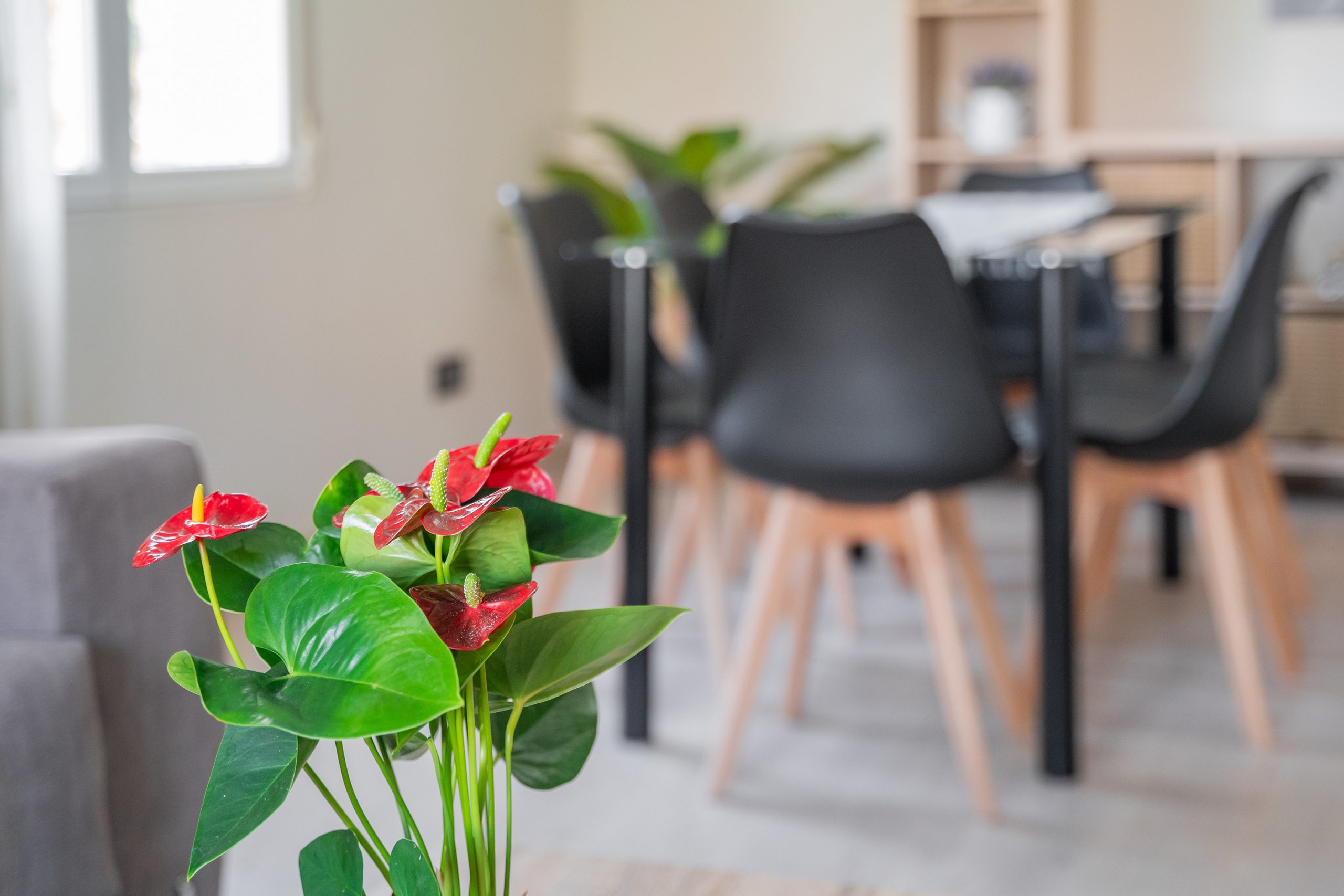 Los Fueros Apartamento Teruel - fotos de la casa